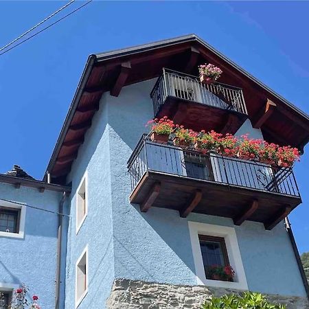 Casa Del Cios Calda E Intima Casetta Immersa Nel Verde Delle Montagne Alpe Basciumo Extérieur photo