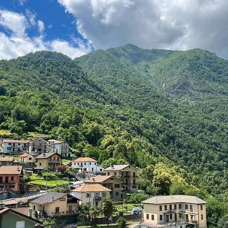 Casa Del Cios Calda E Intima Casetta Immersa Nel Verde Delle Montagne Alpe Basciumo Extérieur photo