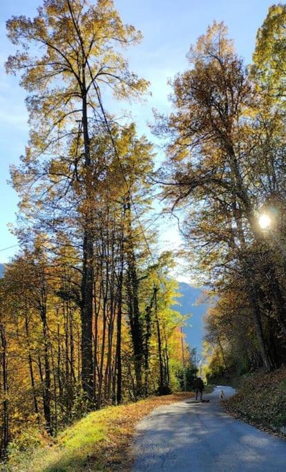 Casa Del Cios Calda E Intima Casetta Immersa Nel Verde Delle Montagne Alpe Basciumo Extérieur photo