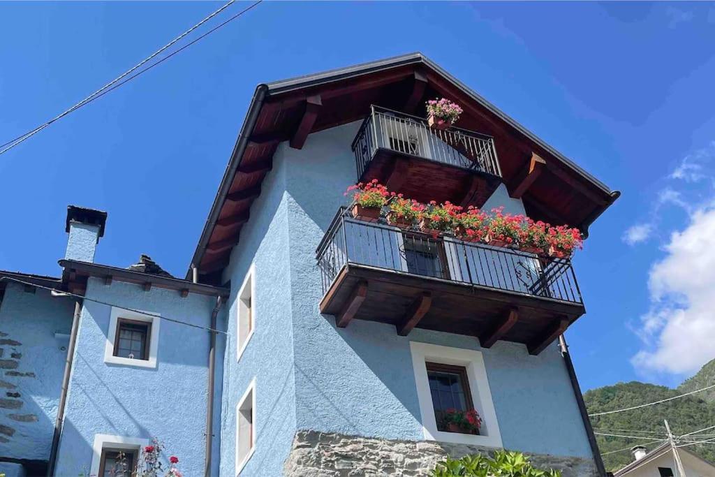 Casa Del Cios Calda E Intima Casetta Immersa Nel Verde Delle Montagne Alpe Basciumo Extérieur photo