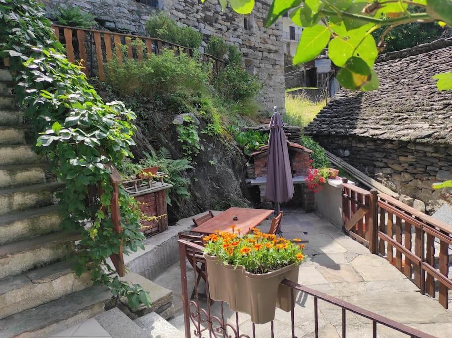 Casa Del Cios Calda E Intima Casetta Immersa Nel Verde Delle Montagne Alpe Basciumo Extérieur photo