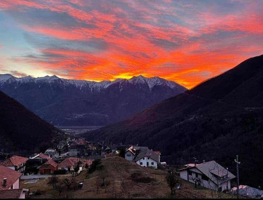 Casa Del Cios Calda E Intima Casetta Immersa Nel Verde Delle Montagne Alpe Basciumo Extérieur photo