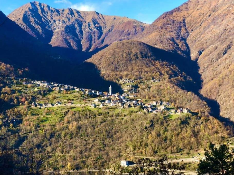 Casa Del Cios Calda E Intima Casetta Immersa Nel Verde Delle Montagne Alpe Basciumo Extérieur photo