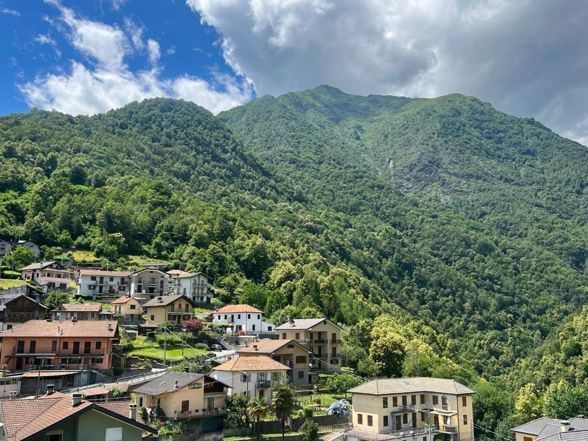 Casa Del Cios Calda E Intima Casetta Immersa Nel Verde Delle Montagne Alpe Basciumo Extérieur photo